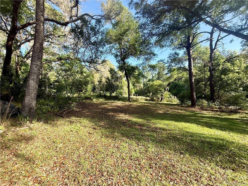 Image 5 of 19 For Address Not Provided