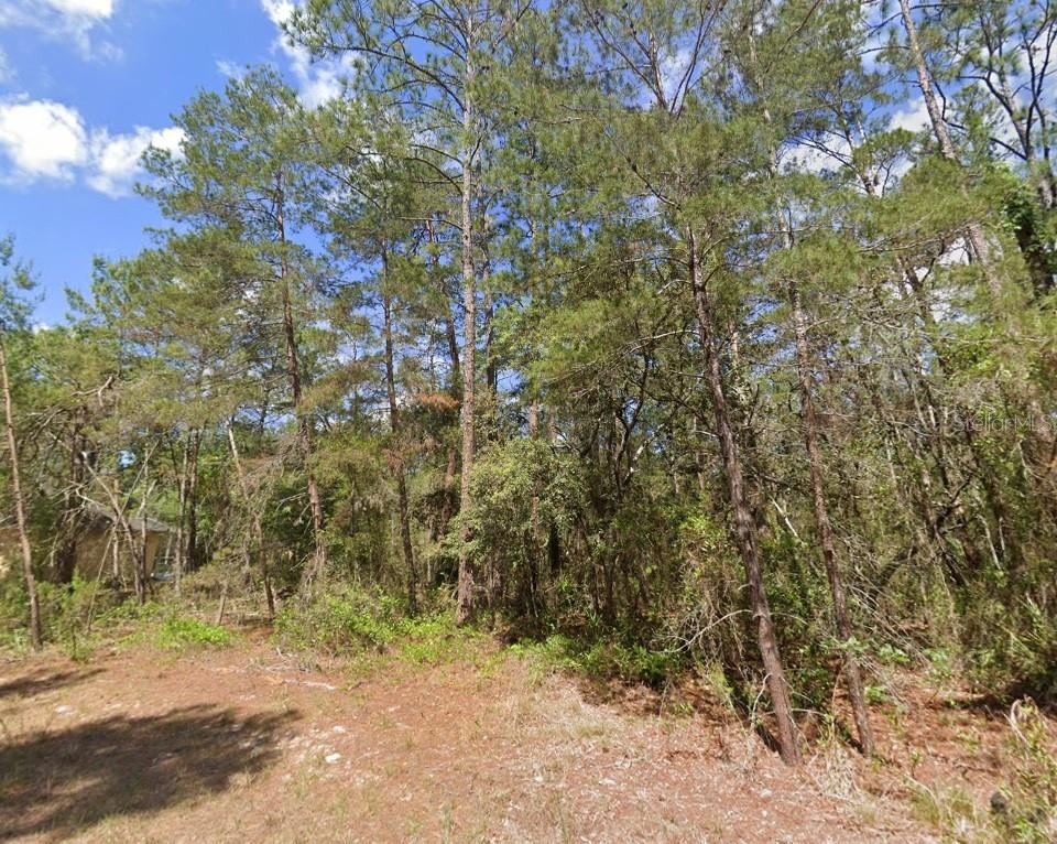 Image 2 of 3 For 15 Petunias Court