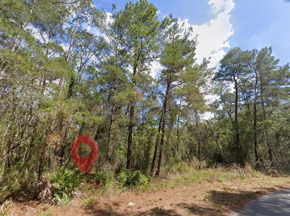 Image 3 of 3 For 15 Petunias Court