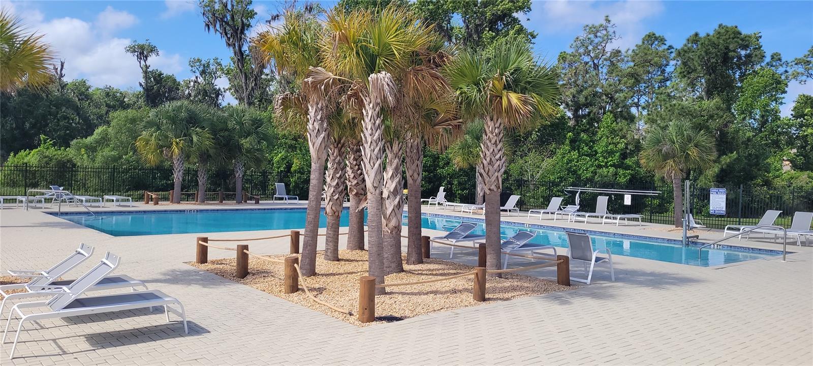 Image 3 of 39 For 1681 Red Loop