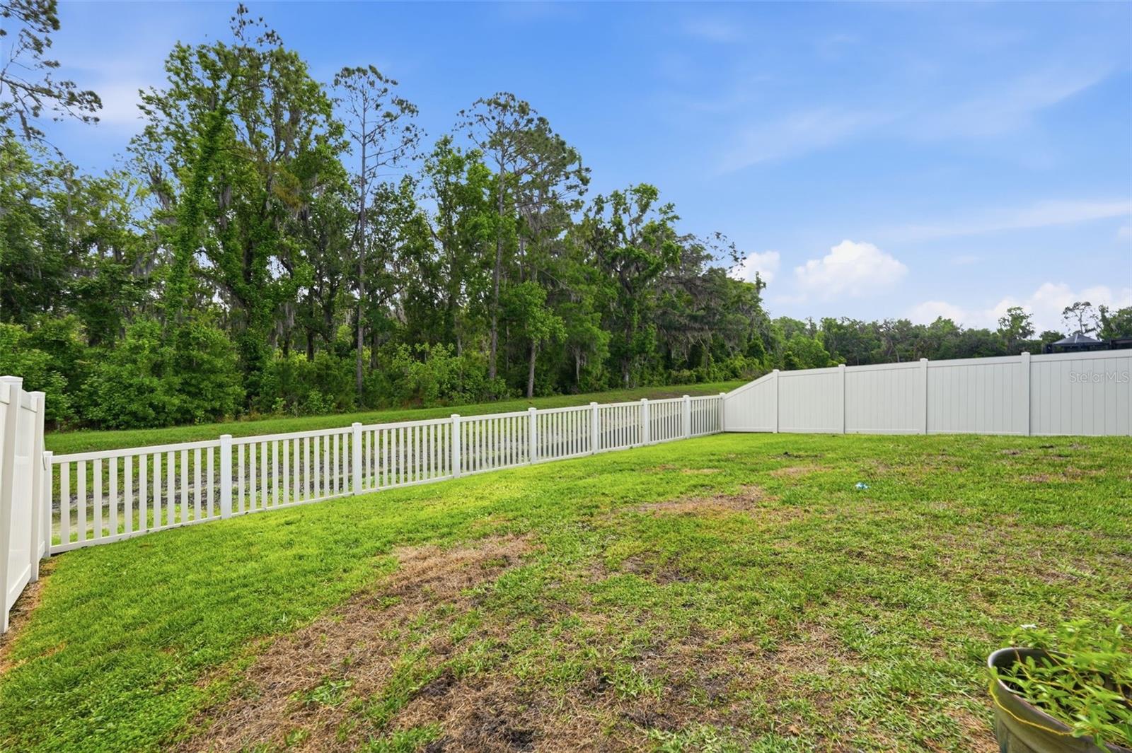 Image 32 of 39 For 1681 Red Loop