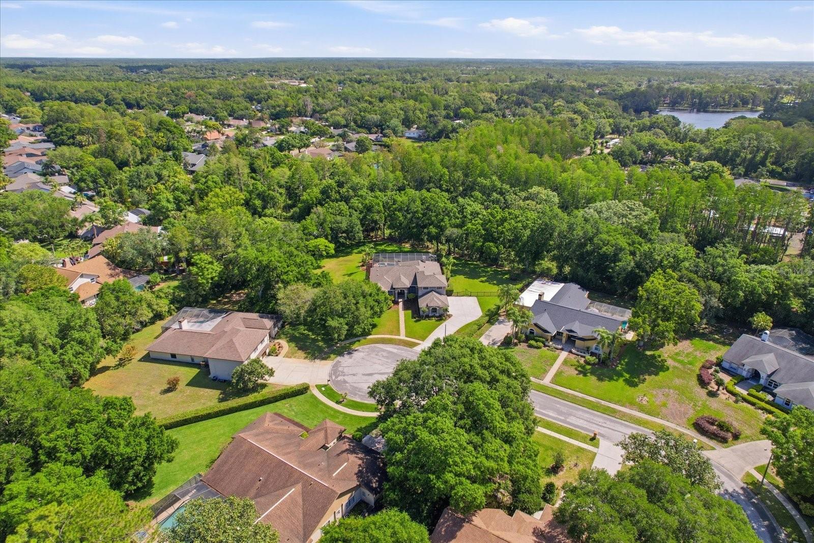 Image 45 of 46 For 5902 Hammock Woods Drive