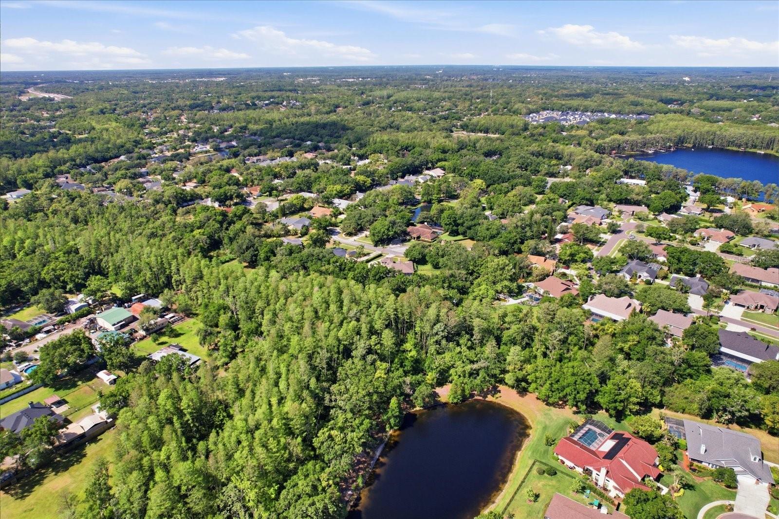 Image 46 of 46 For 5902 Hammock Woods Drive