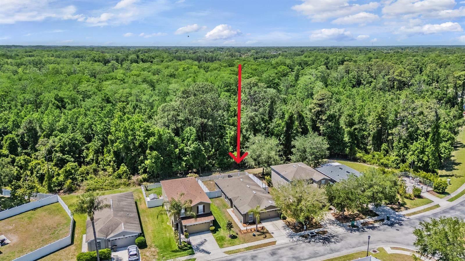 Image 7 of 43 For 12715 White Bluff Road