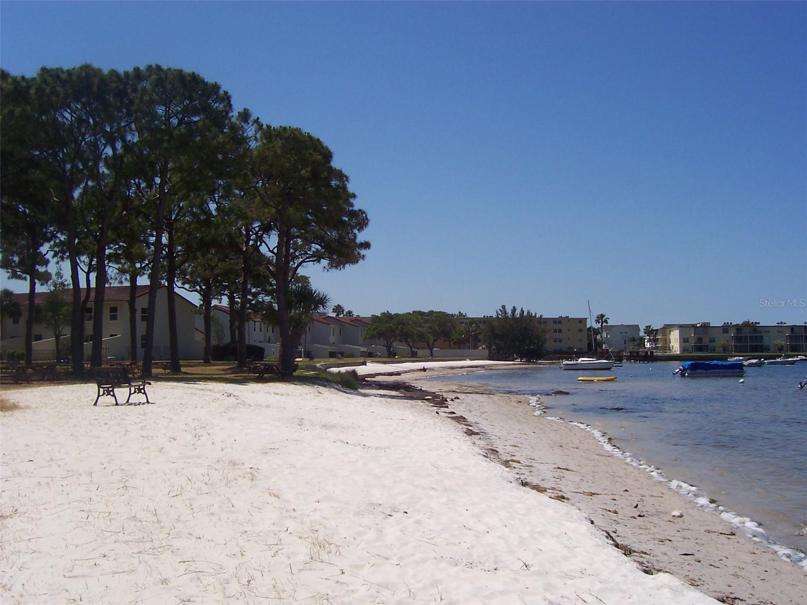 Image 32 of 44 For 2700 Bayshore Boulevard 580