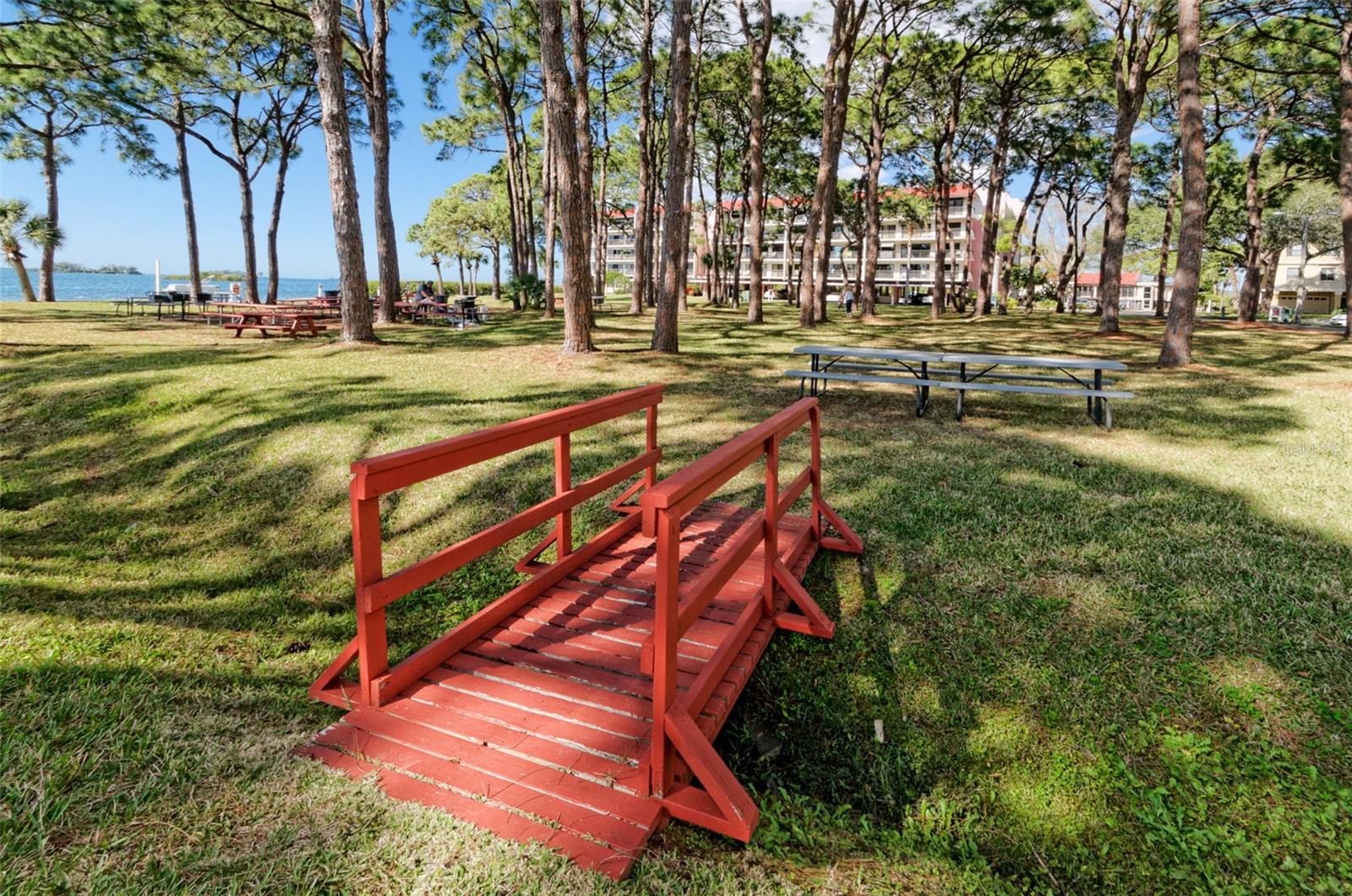 Image 33 of 44 For 2700 Bayshore Boulevard 580
