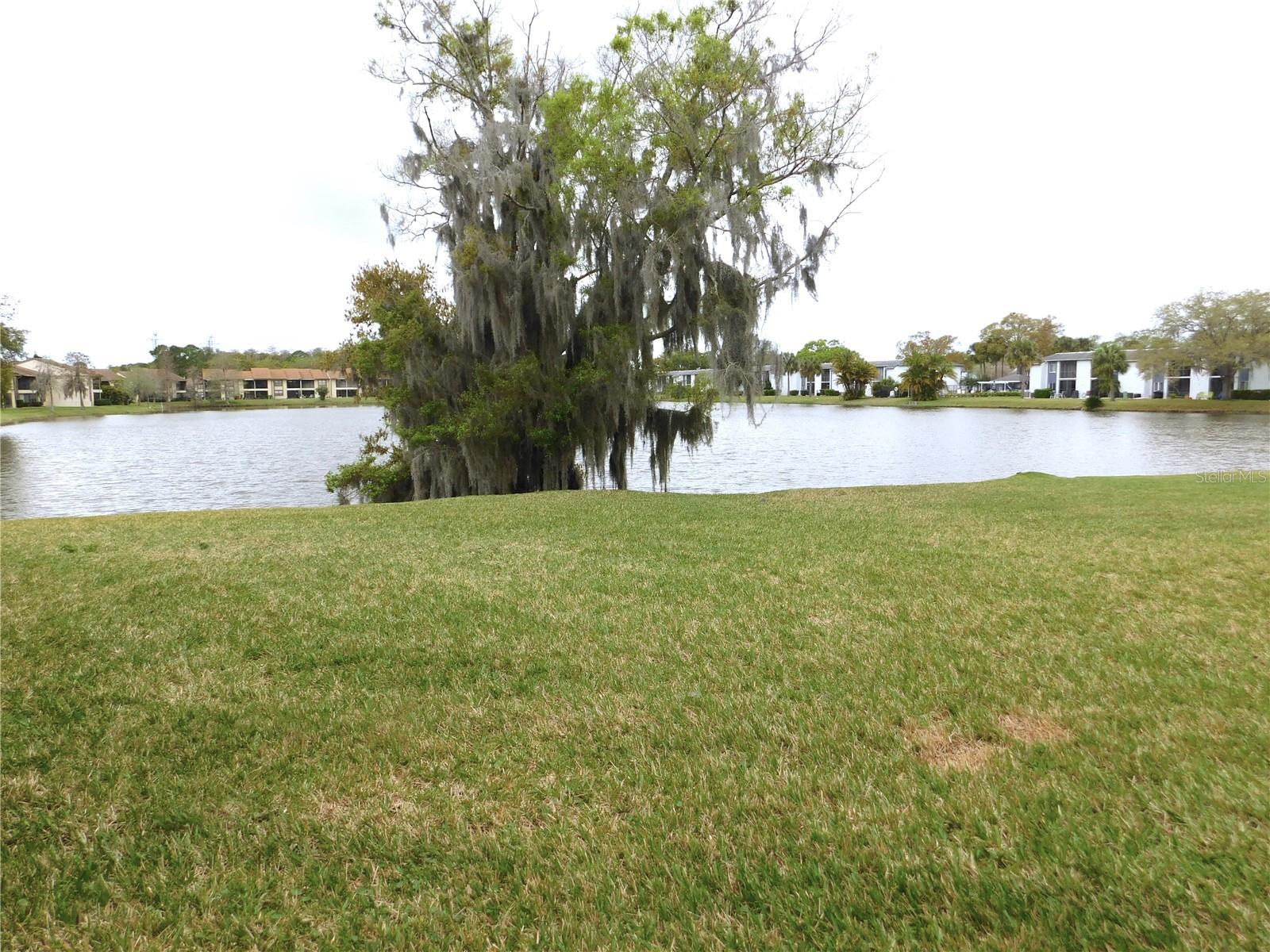 Image 22 of 32 For 207 Woodlake Wynde  207