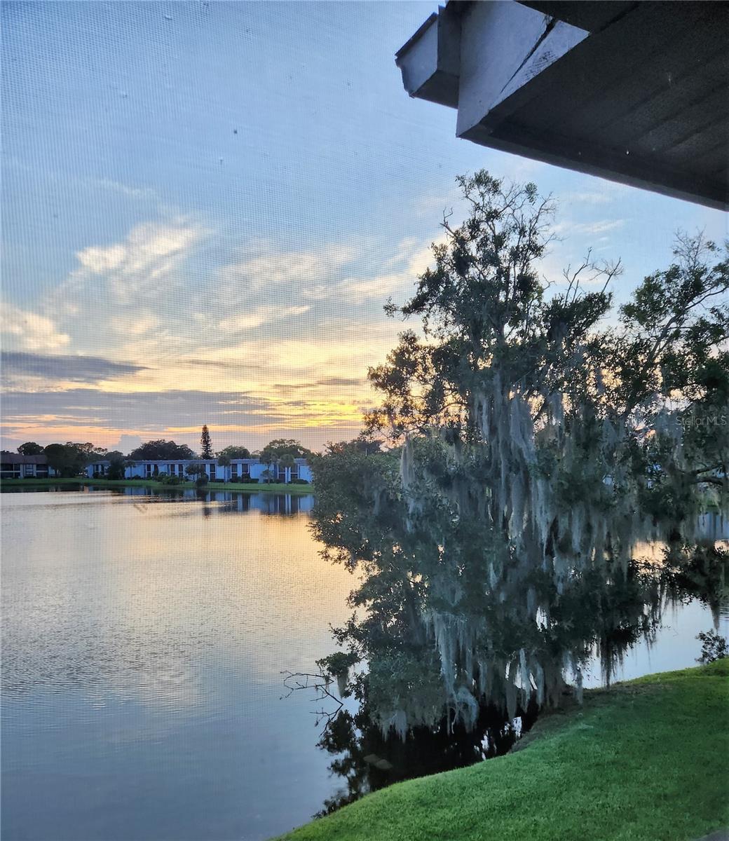 Image 29 of 32 For 207 Woodlake Wynde  207