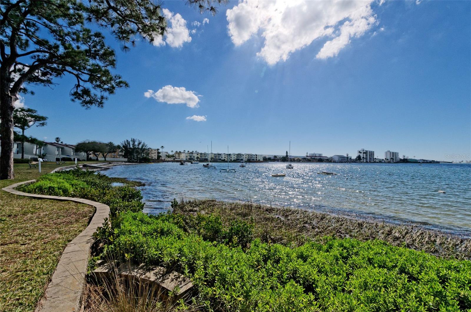 Image 40 of 48 For 2700 Bayshore Boulevard 6107