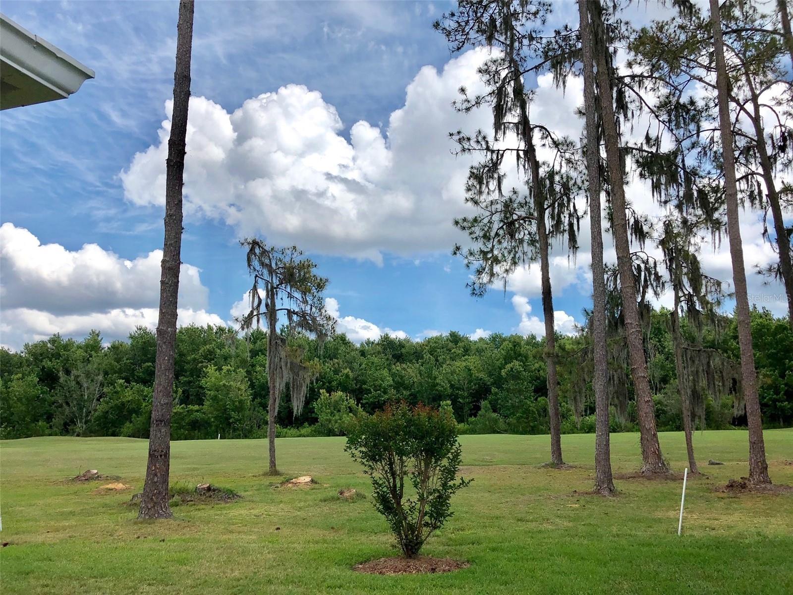 Image 28 of 31 For 5804 Autumn Shire Drive