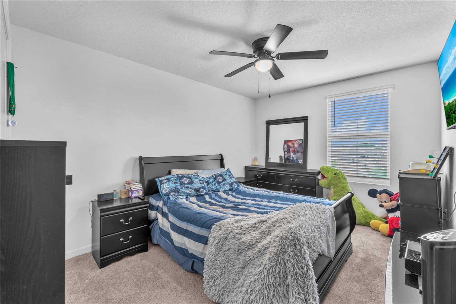 Image 23 of 34 For 12169 Downy Birch Drive