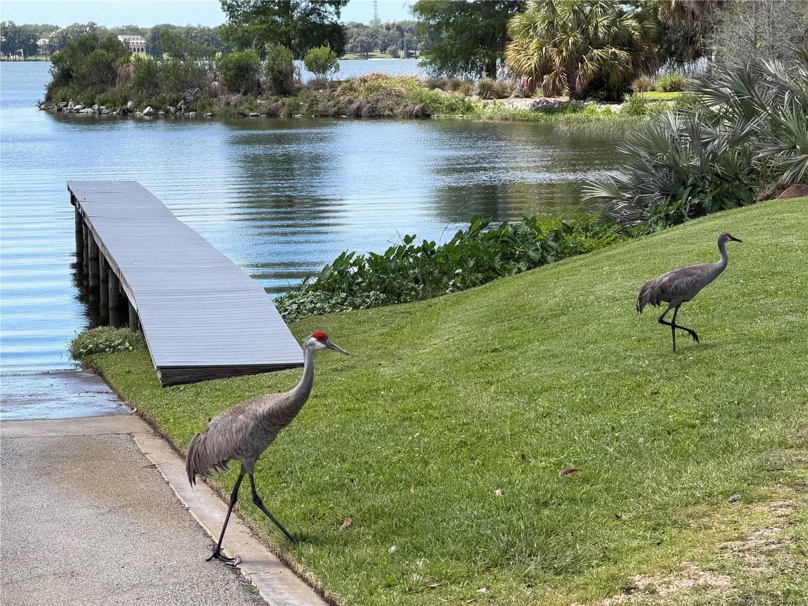 Image 8 of 13 For 12322 Stonelake Ranch Boulevard