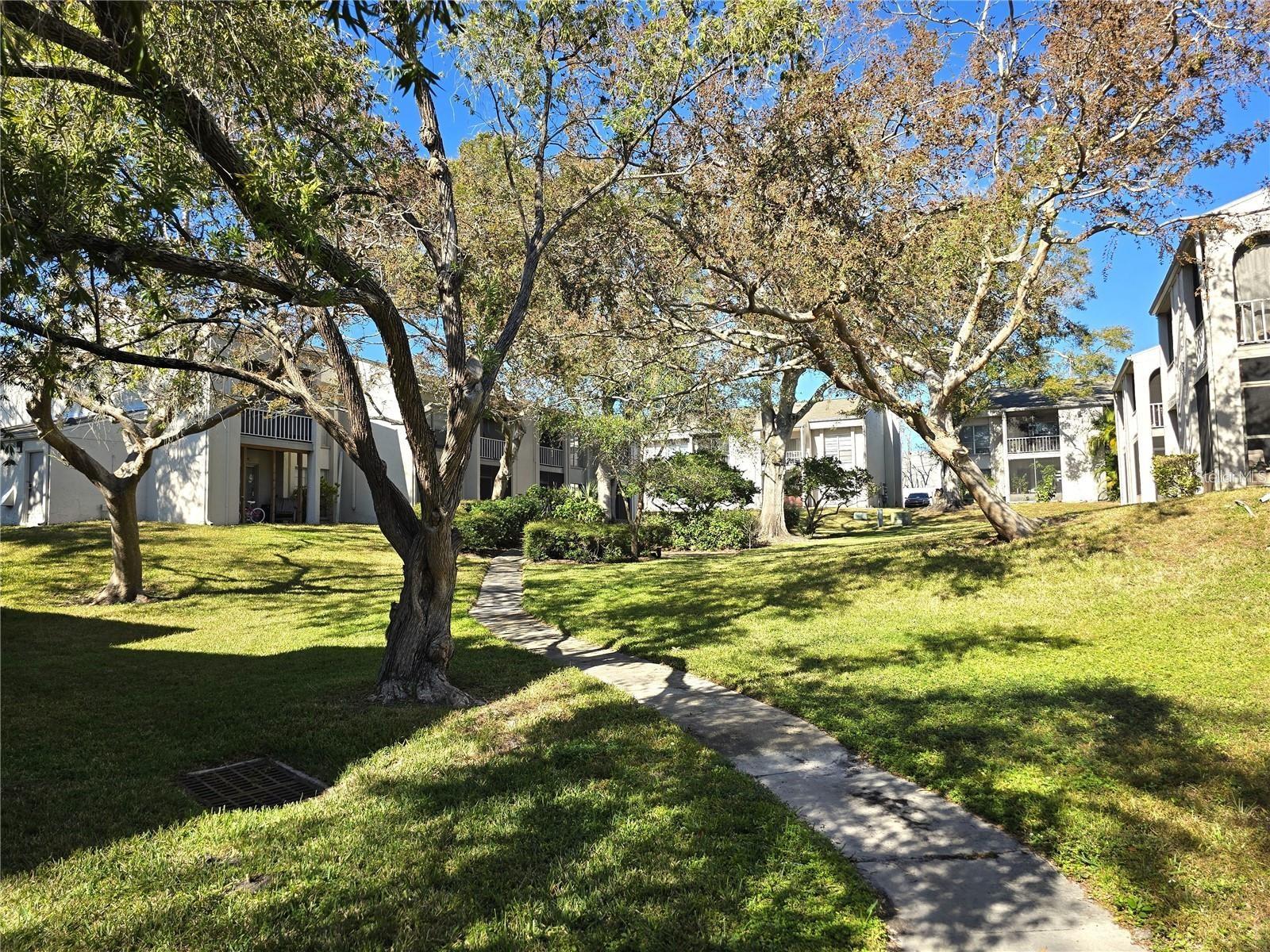 Details for 2625 State Road 590  2413, CLEARWATER, FL 33759