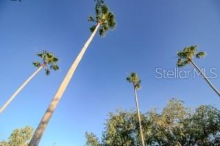 Image 36 of 36 For 509 Cypress View Drive