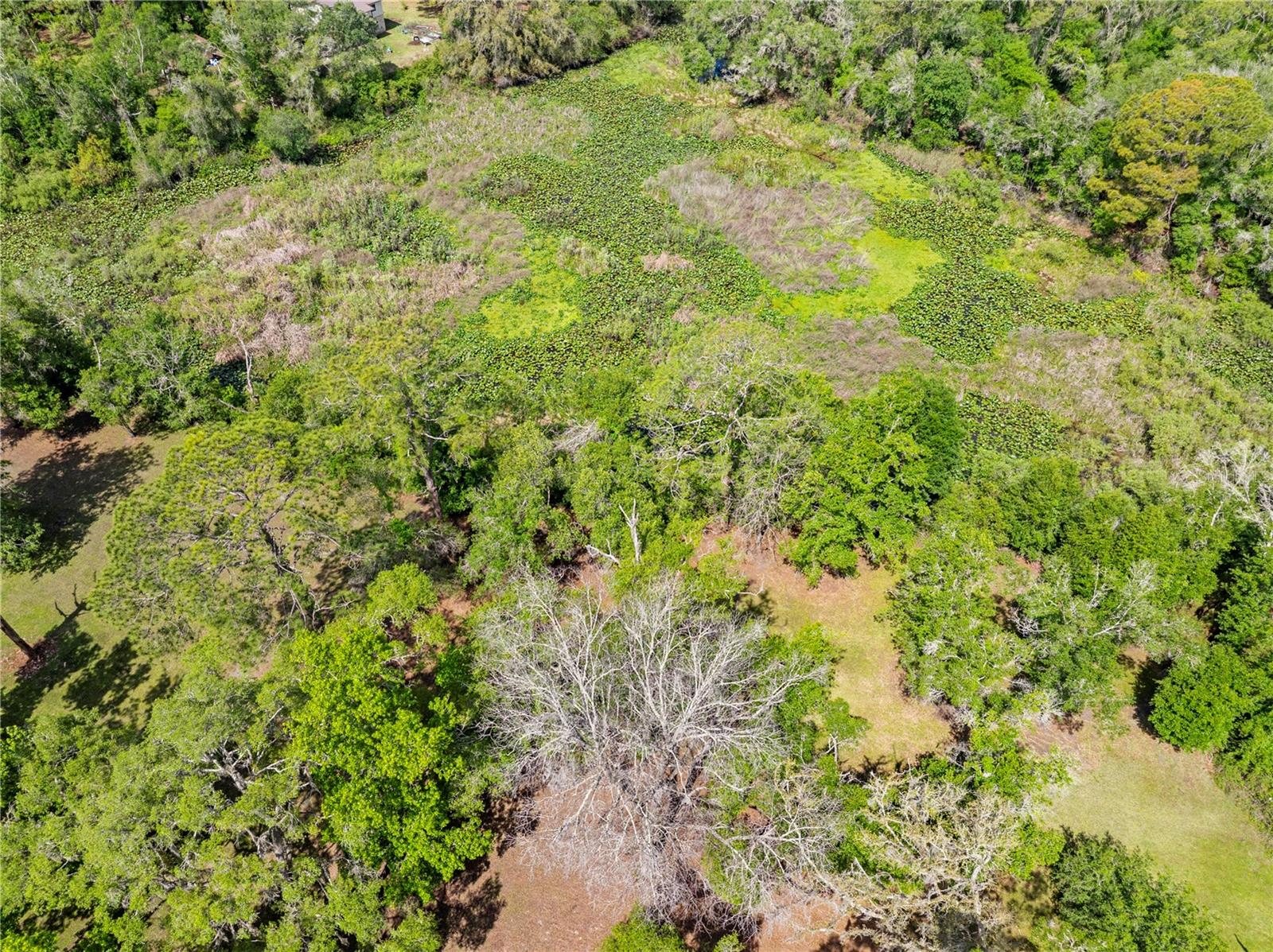 Image 75 of 75 For 7347 Packingham Drive