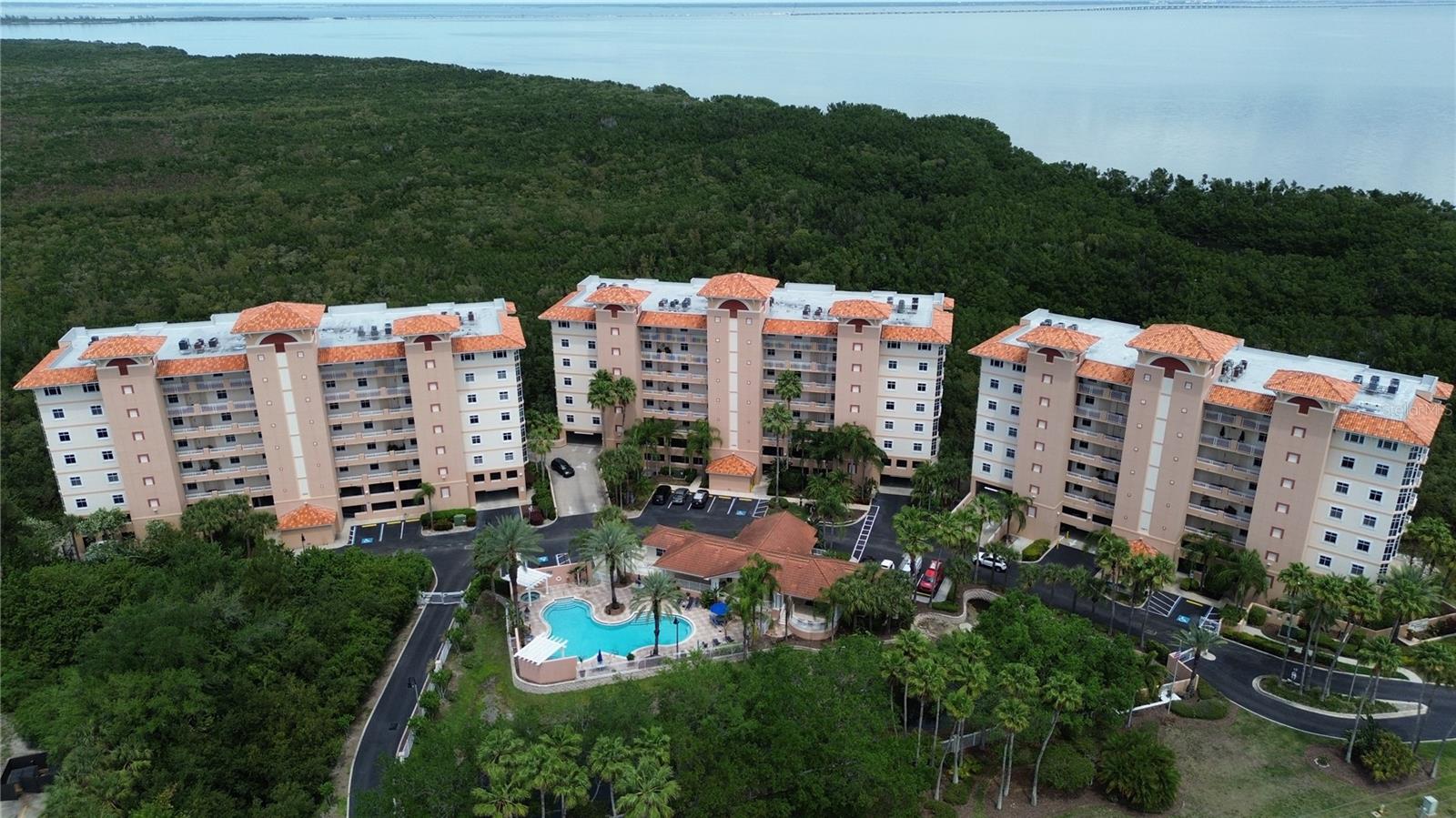 Image 54 of 55 For 12055 Gandy Boulevard N 243