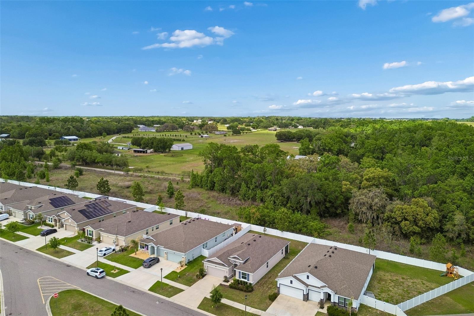 Image 49 of 73 For 35977 Morse Willow Court