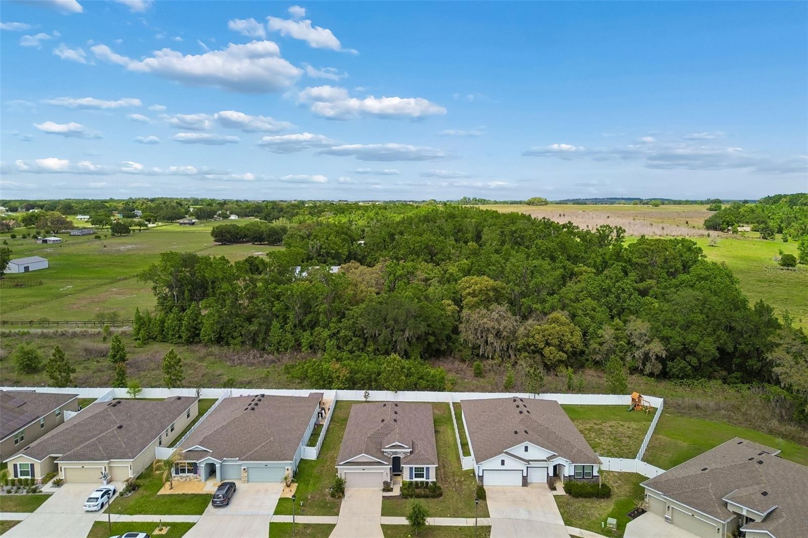 Image 50 of 73 For 35977 Morse Willow Court