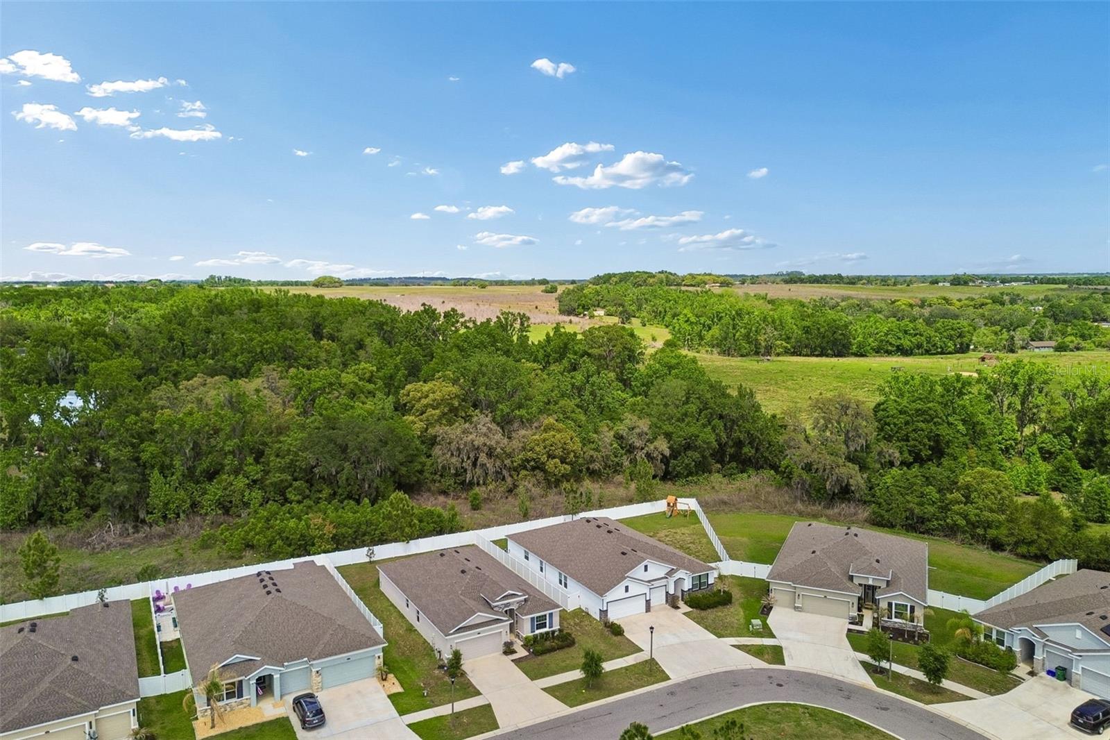 Image 51 of 73 For 35977 Morse Willow Court