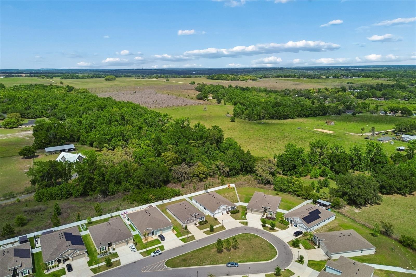 Image 52 of 73 For 35977 Morse Willow Court