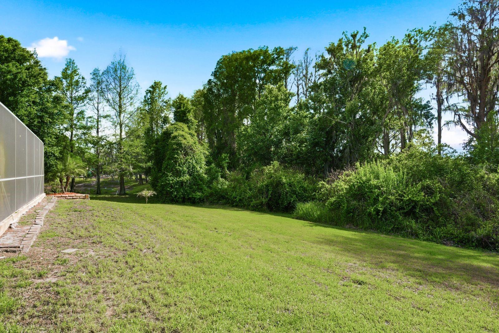 Image 65 of 90 For 9103 Creedmoor Lane