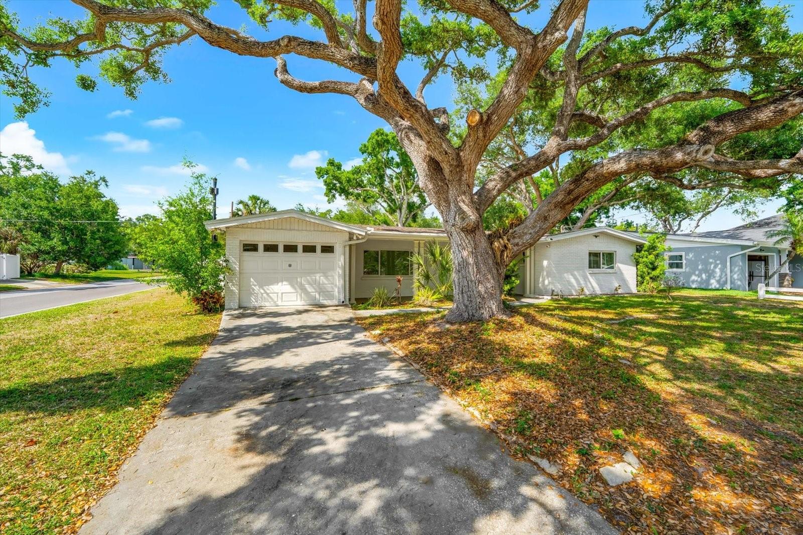 Image 60 of 74 For 3315 Beaumont Street