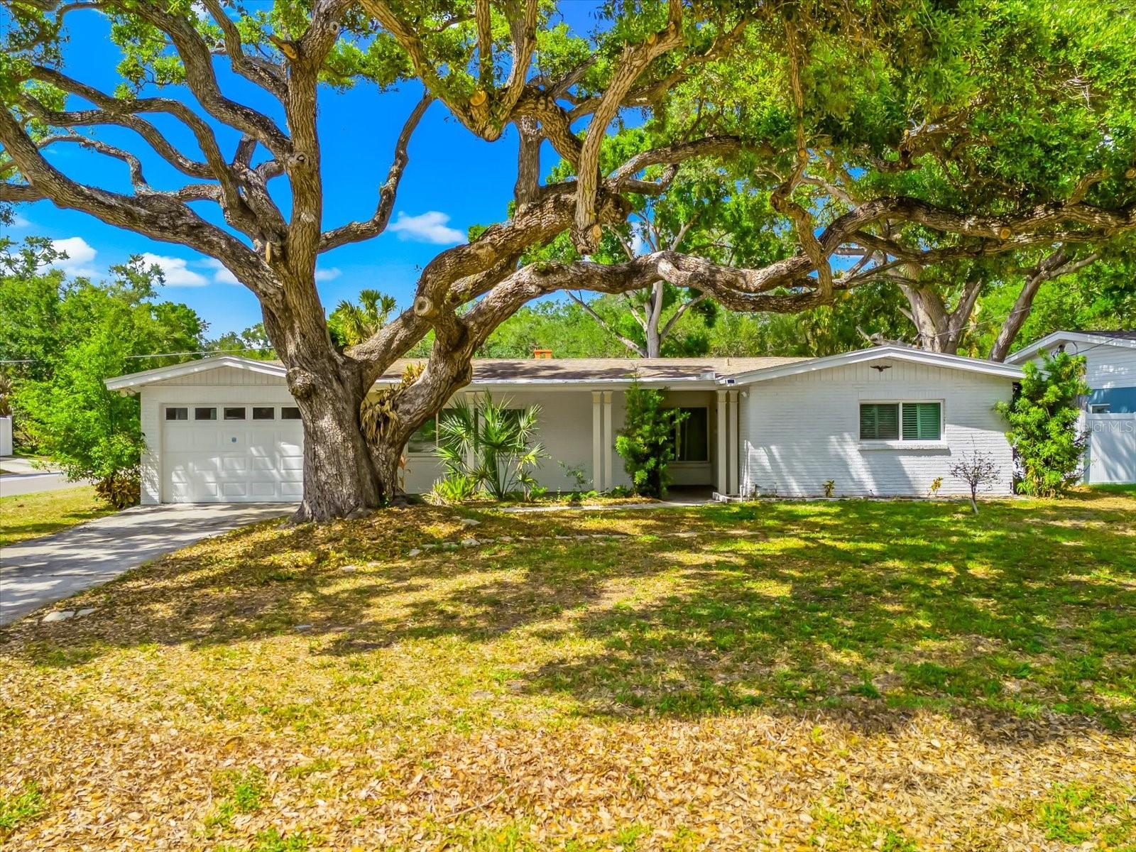 Image 62 of 74 For 3315 Beaumont Street