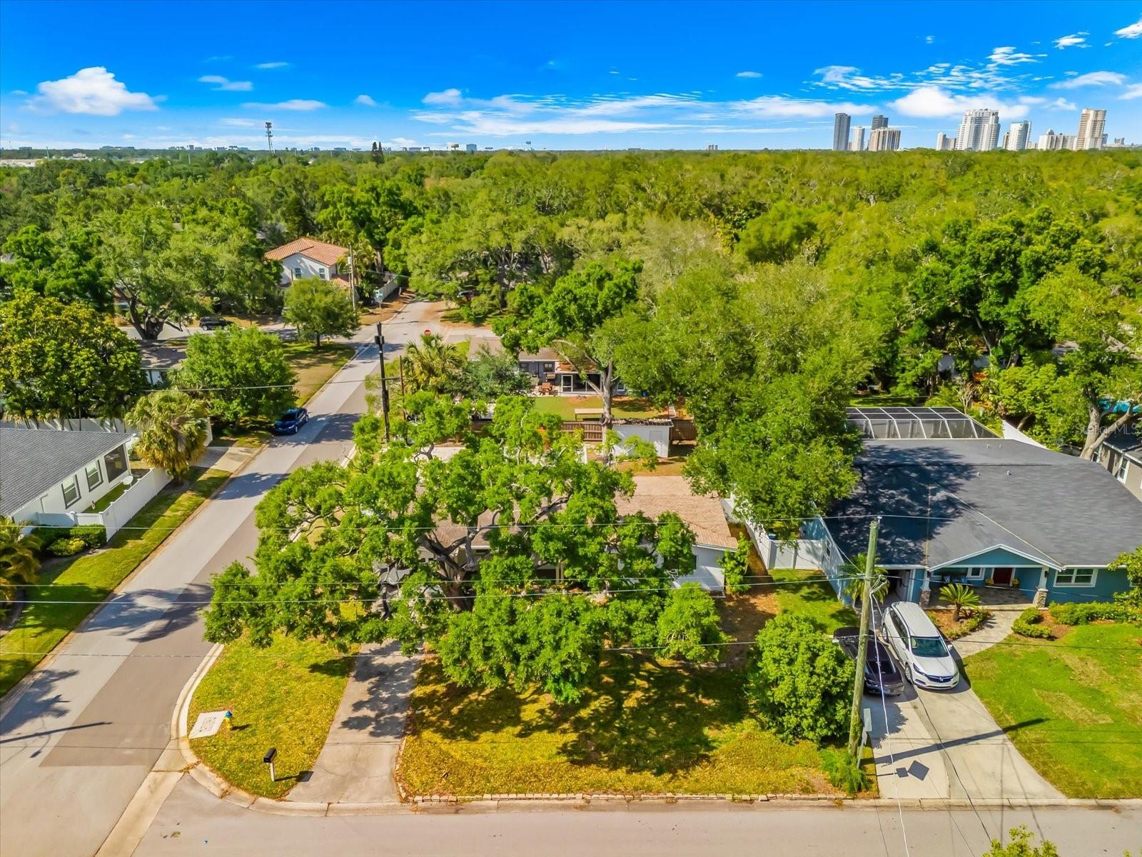 Image 64 of 74 For 3315 Beaumont Street