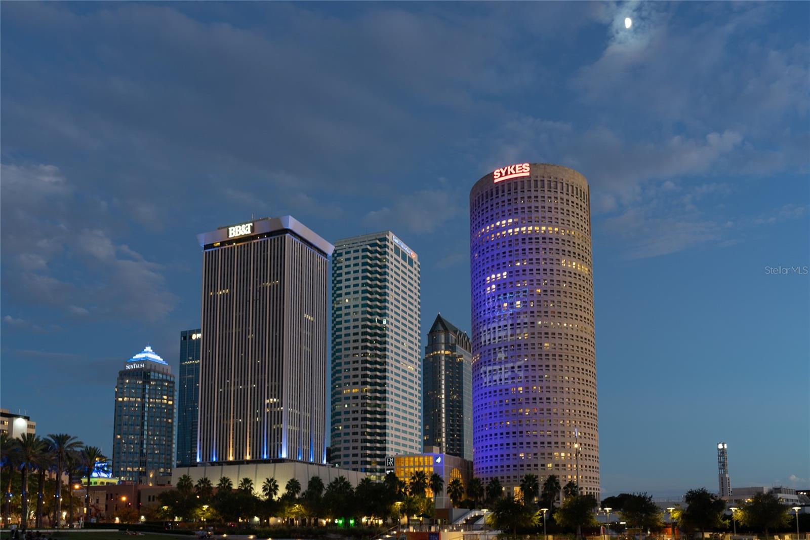 Image 47 of 50 For 3301 Bayshore Boulevard 810a