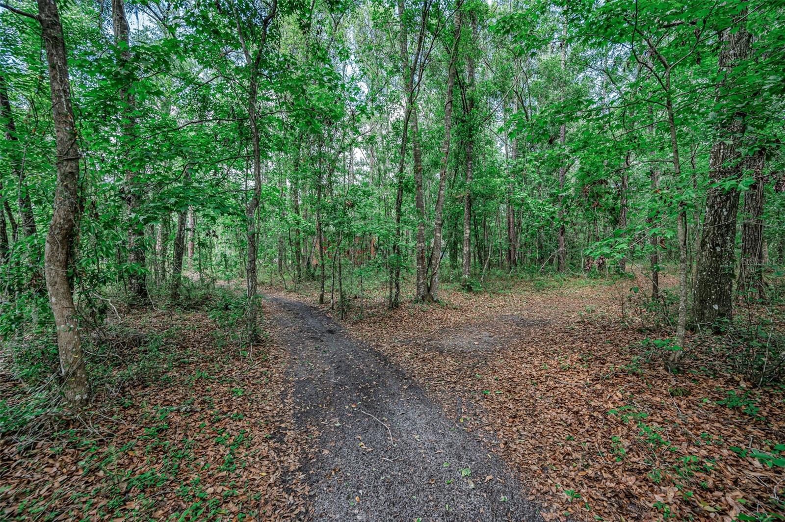 Image 52 of 66 For 4130 Racers Way