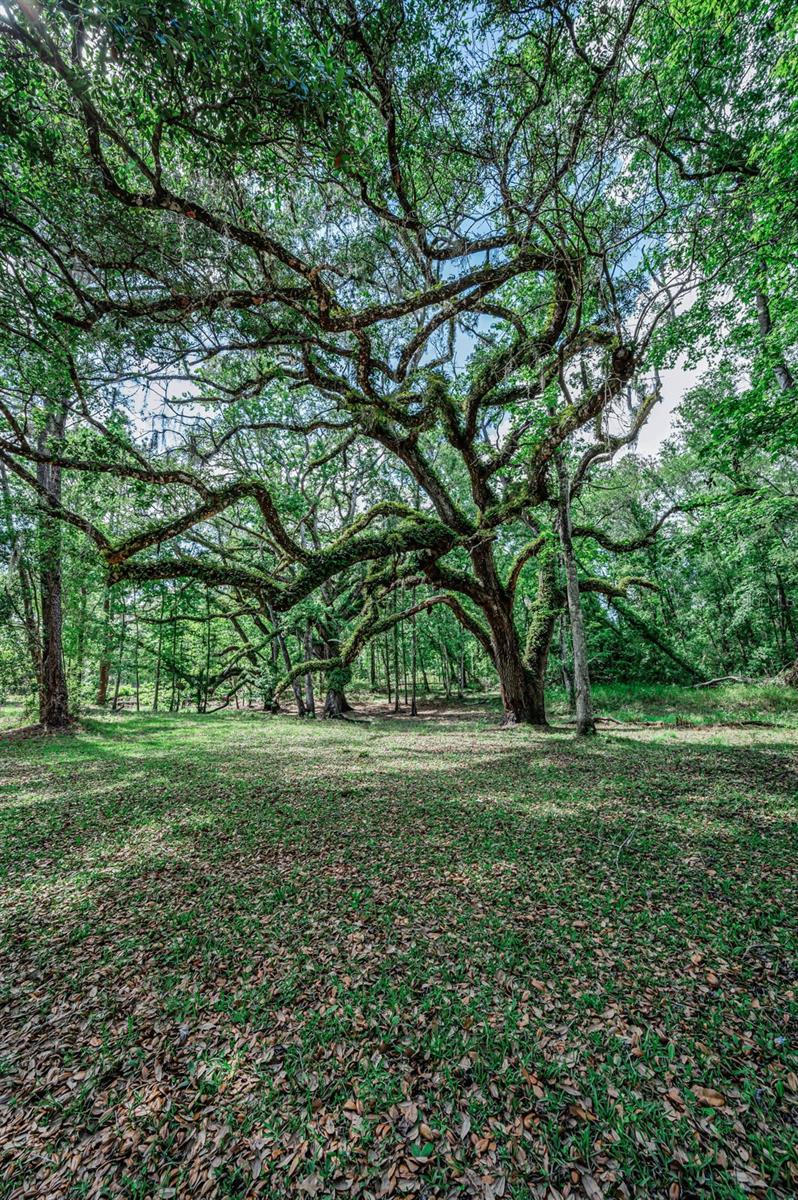 Image 53 of 66 For 4130 Racers Way