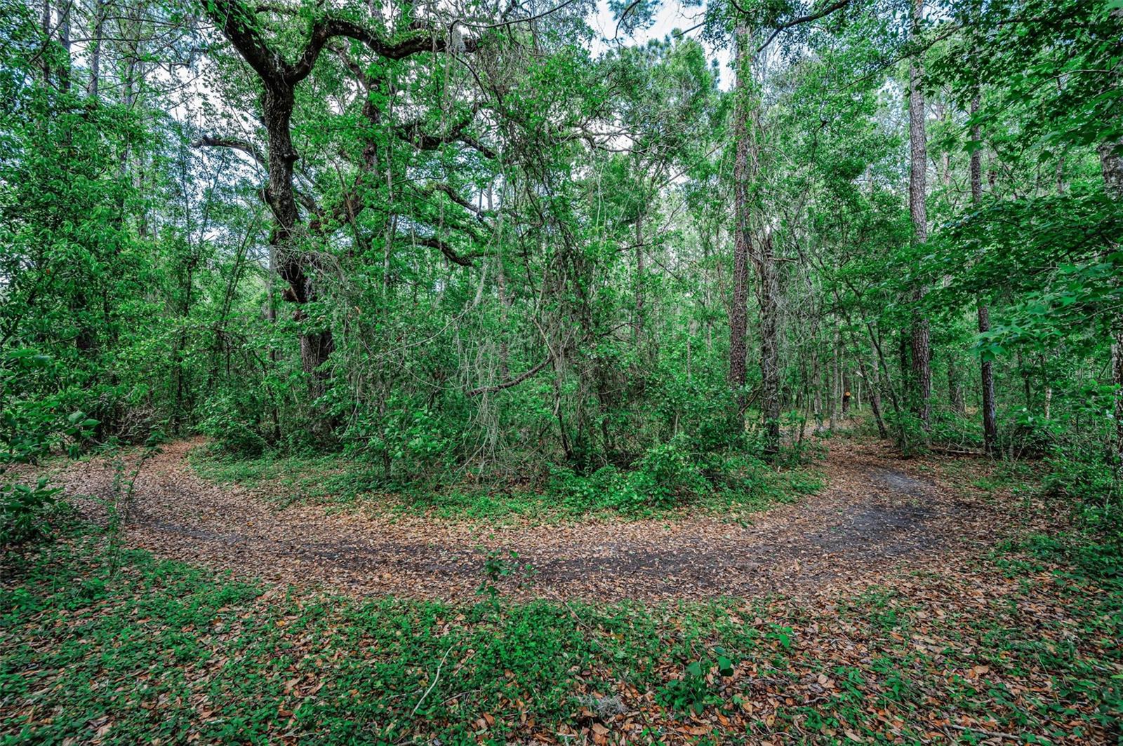 Image 55 of 66 For 4130 Racers Way