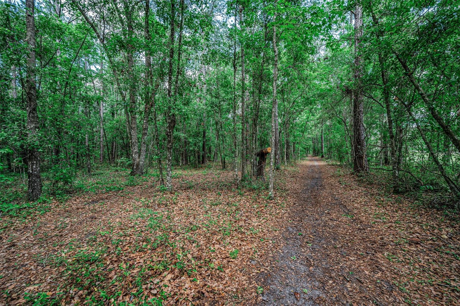 Image 56 of 66 For 4130 Racers Way