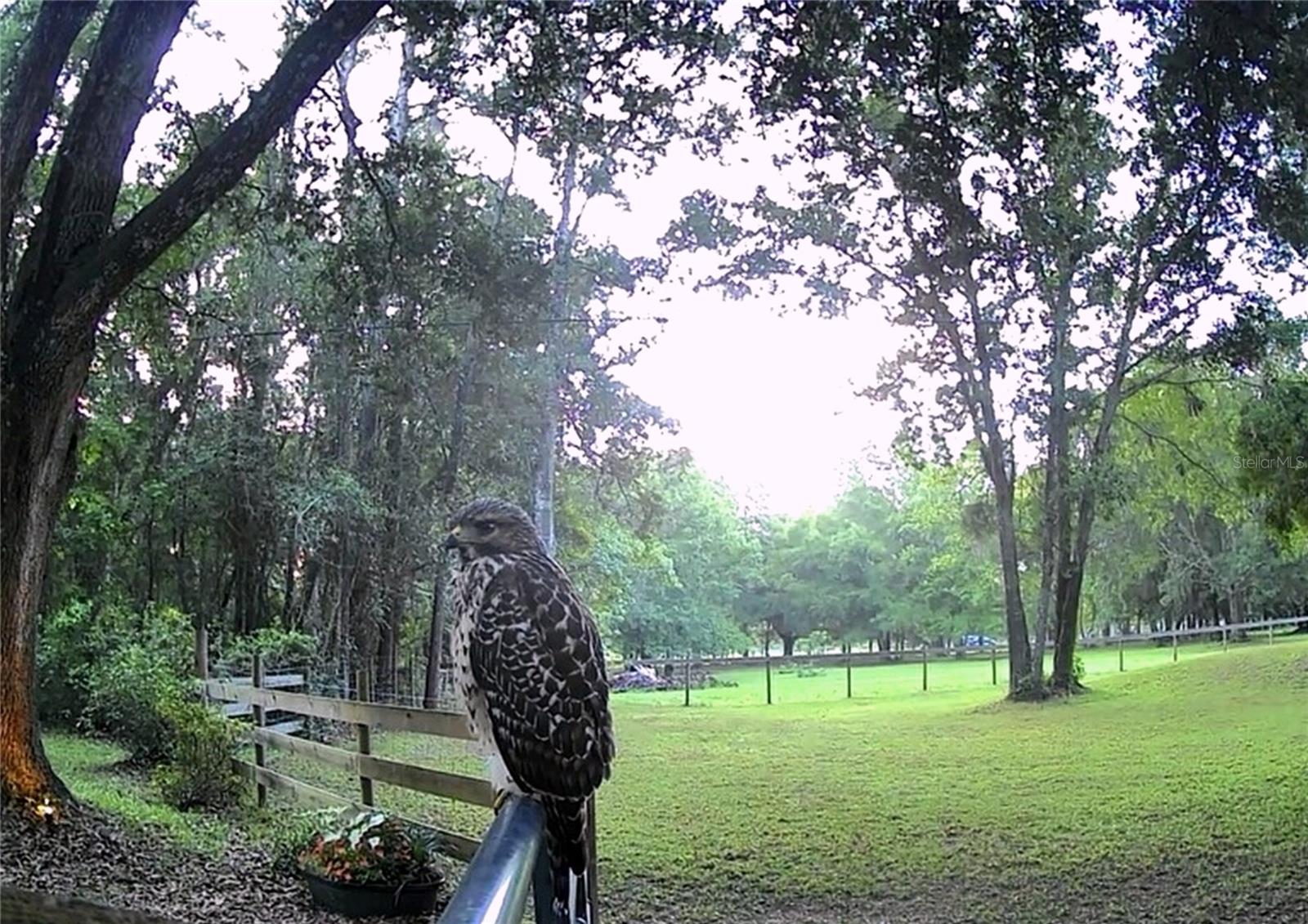 Image 65 of 66 For 4130 Racers Way