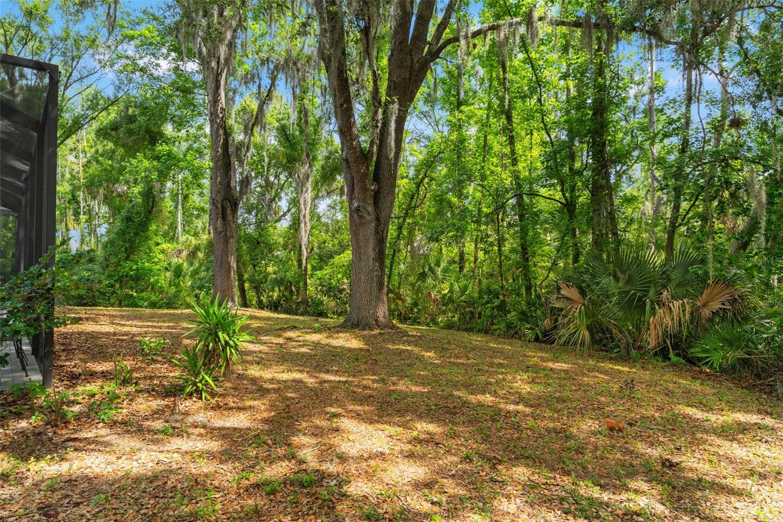 Listing photo id 48 for 16105 Cadbury Court