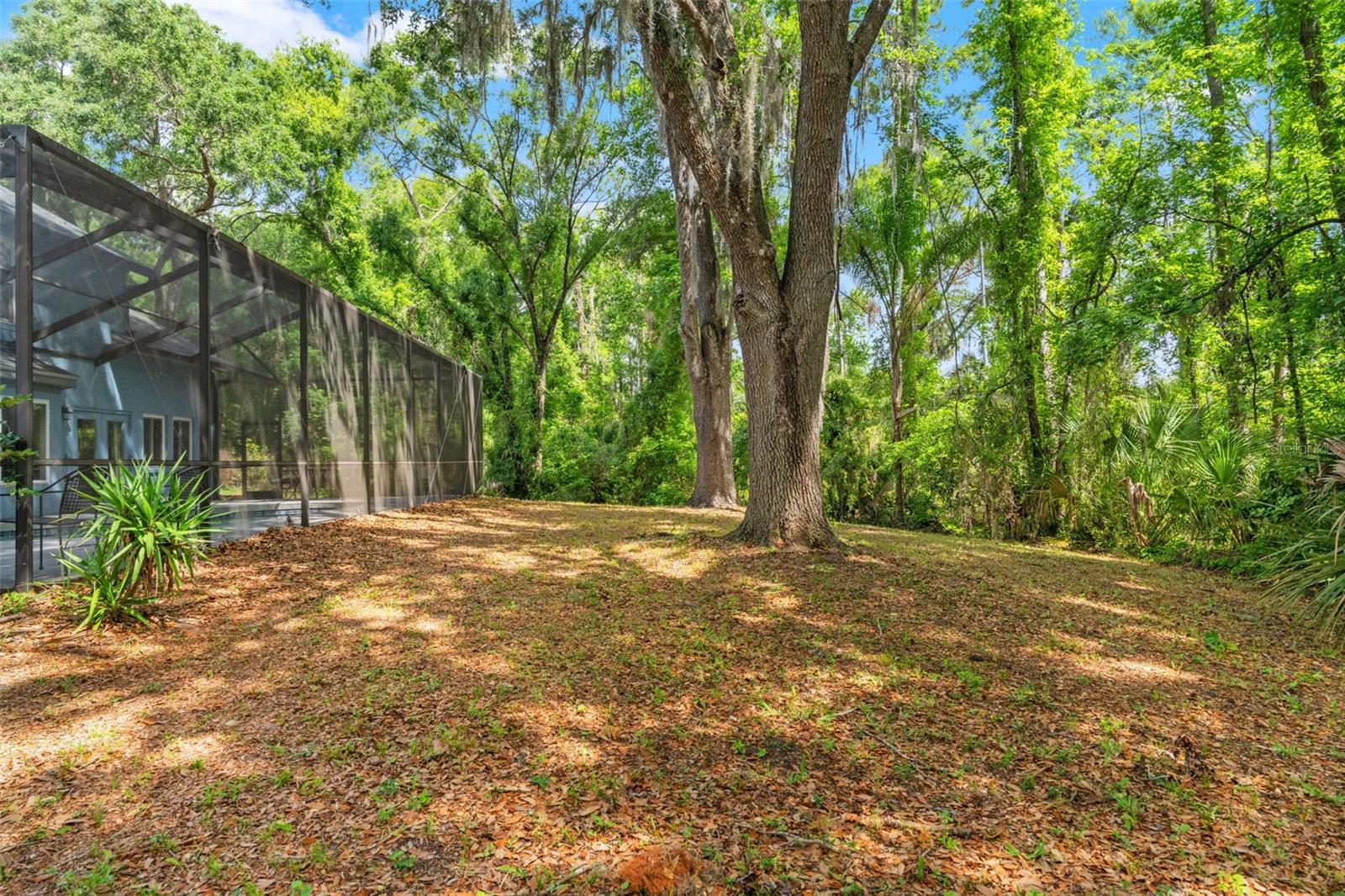 Listing photo id 49 for 16105 Cadbury Court