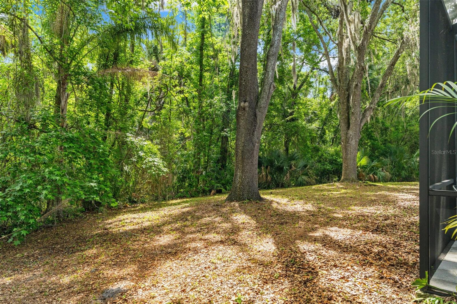 Listing photo id 53 for 16105 Cadbury Court