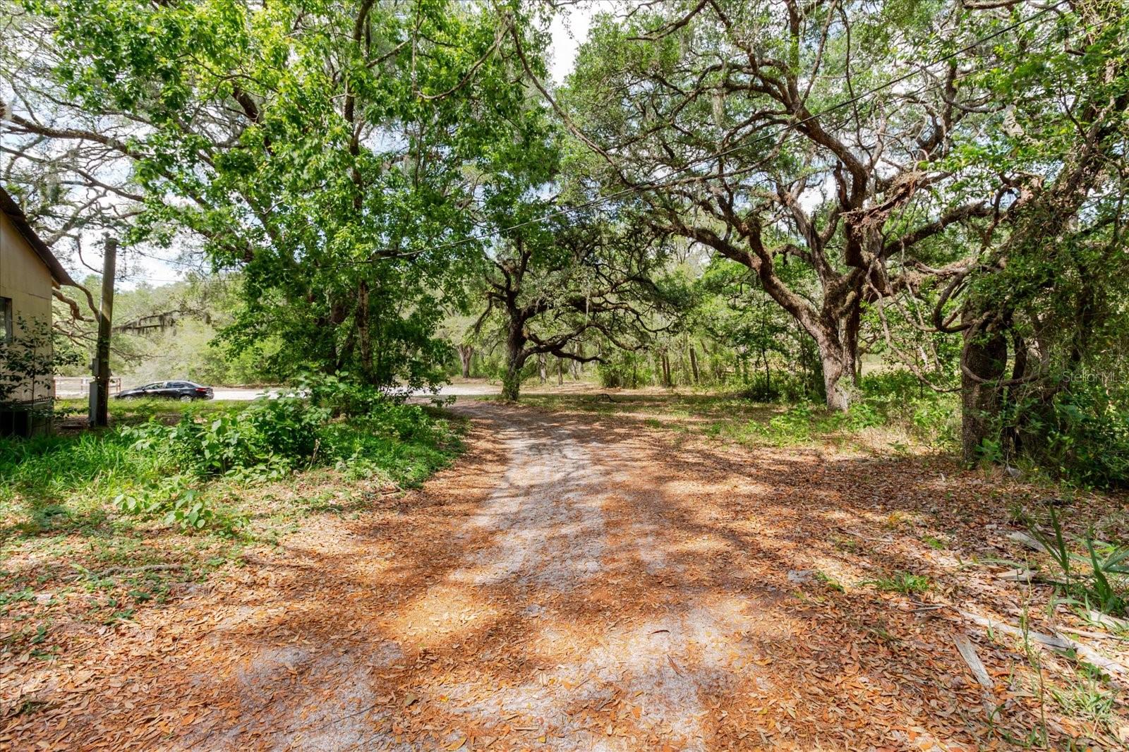 Image 13 of 16 For 12531 Little Pete Court