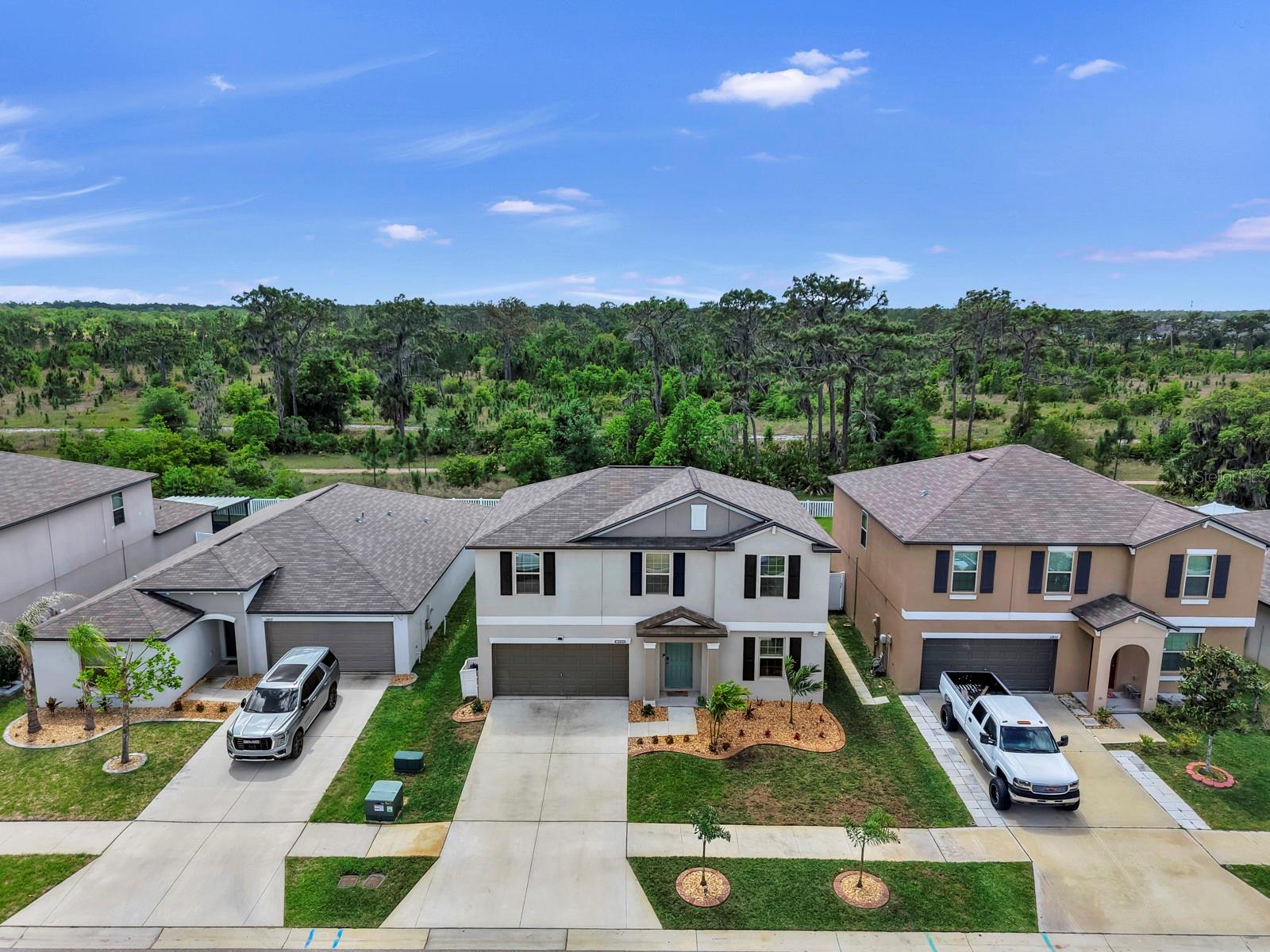 Image 48 of 77 For 12835 Wildflower Meadow Drive