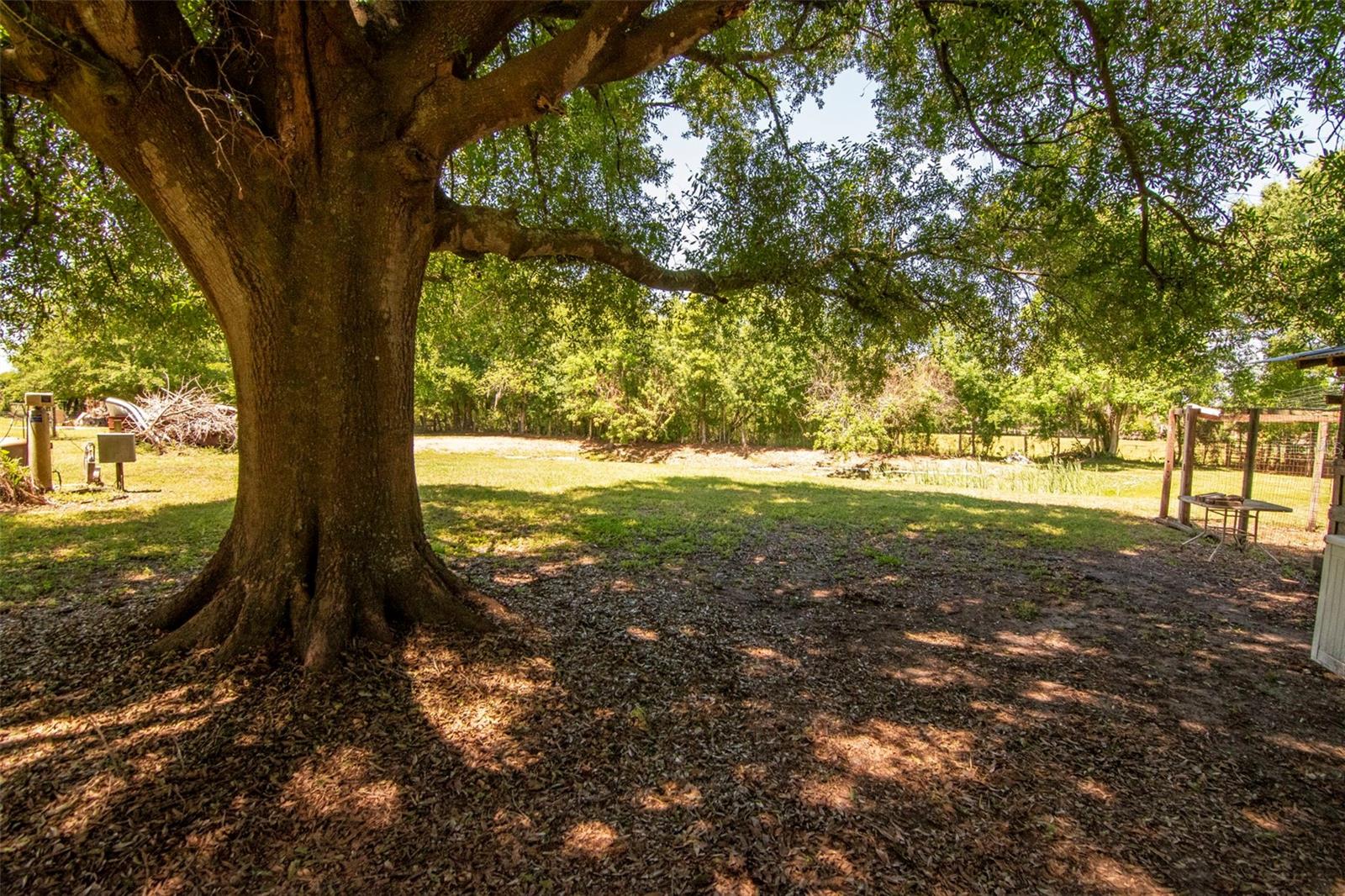 Image 11 of 24 For 6230 Bob Head Road