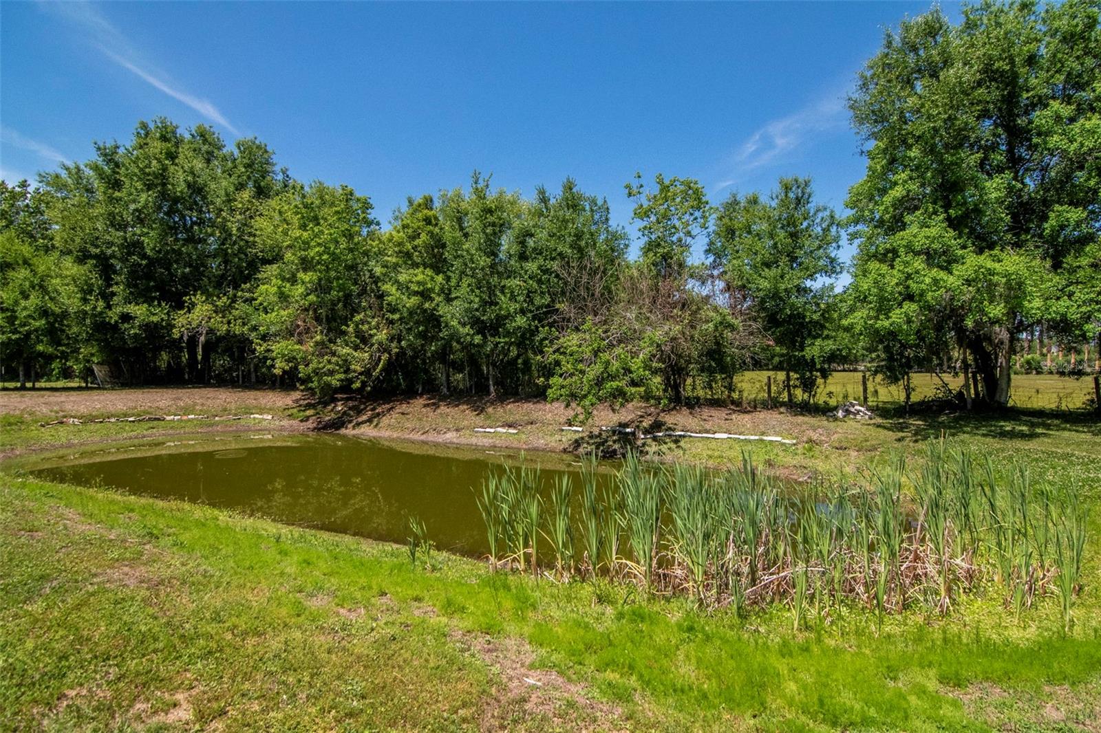 Image 14 of 24 For 6230 Bob Head Road