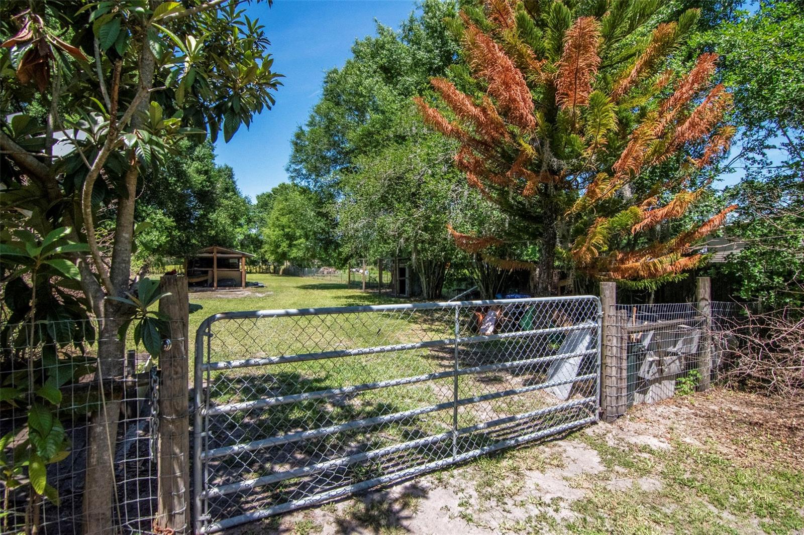 Image 8 of 24 For 6230 Bob Head Road