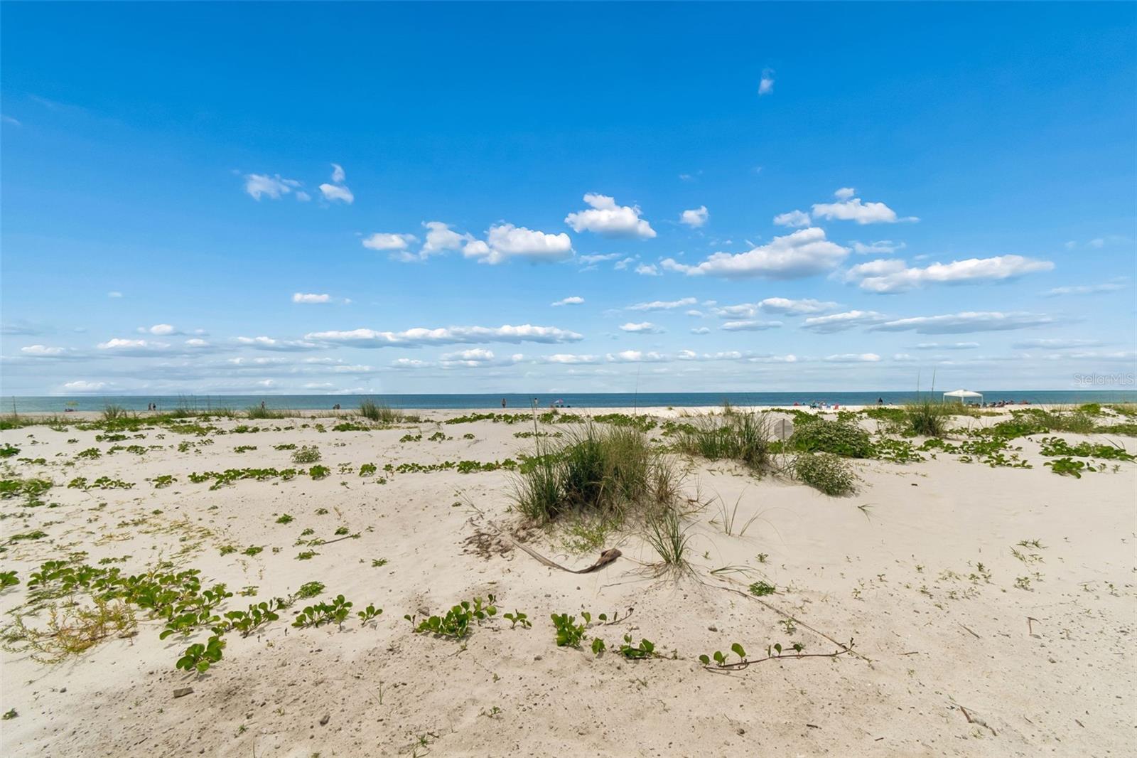 Image 81 of 100 For 930 Eldorado Avenue