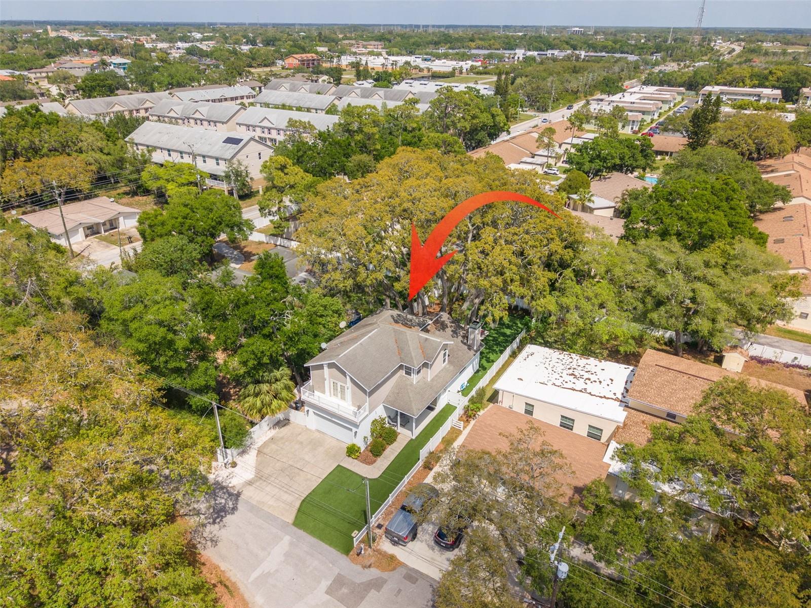 Image 29 of 42 For 901 Virginia Avenue