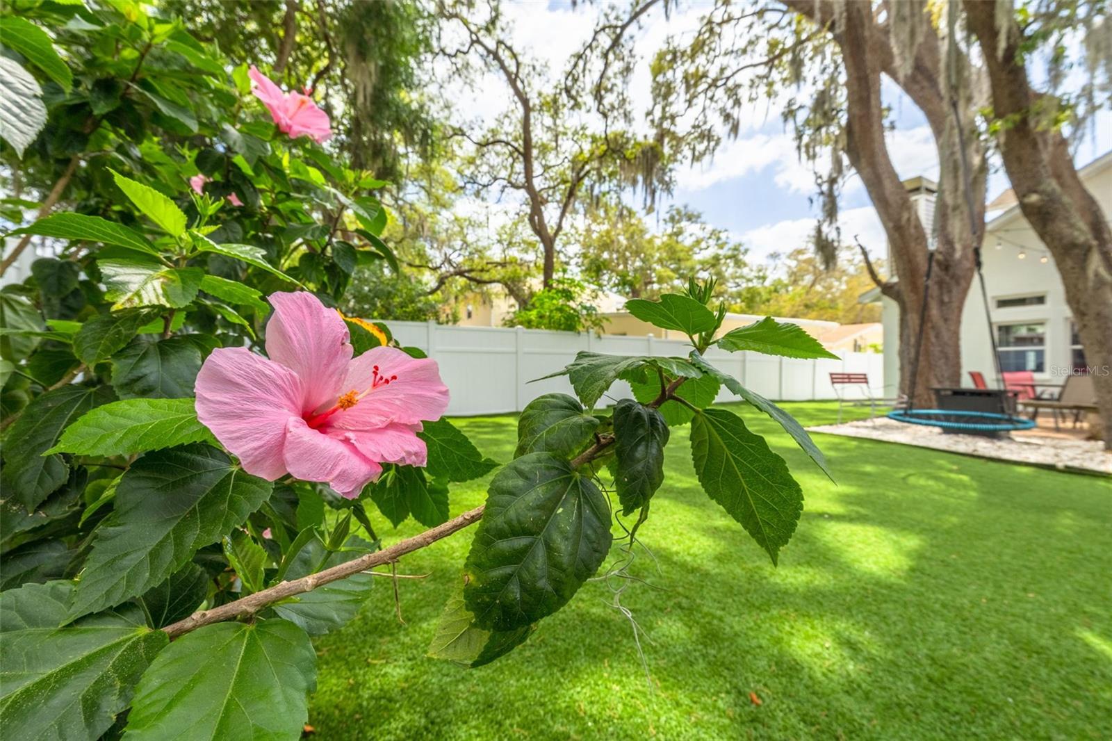 Image 3 of 42 For 901 Virginia Avenue