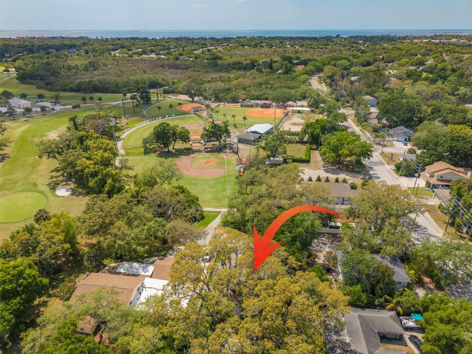 Image 36 of 42 For 901 Virginia Avenue