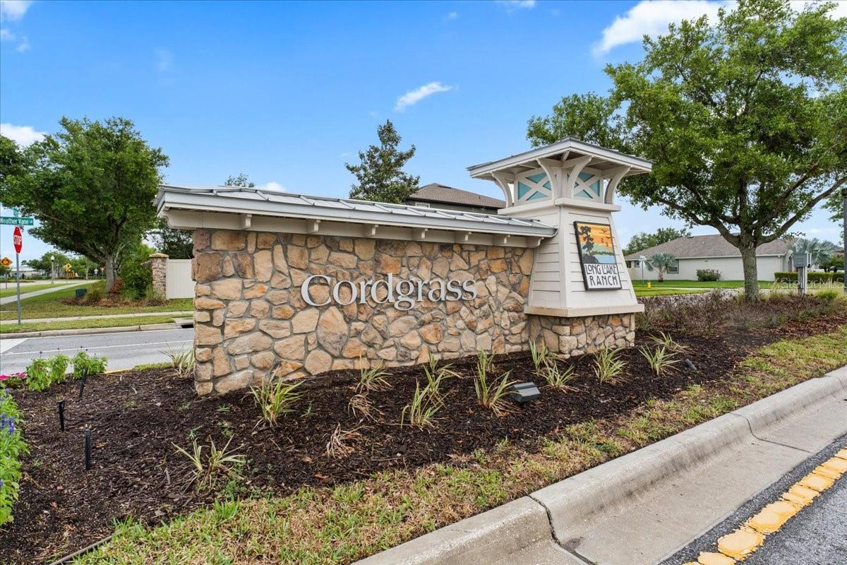 Image 3 of 63 For 1675 Feather Grass Loop