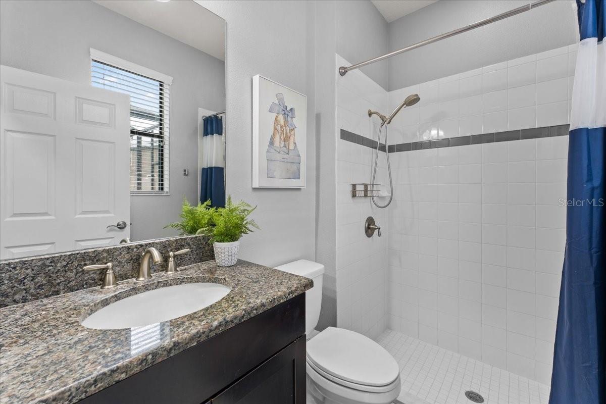 Image 32 of 63 For 1675 Feather Grass Loop