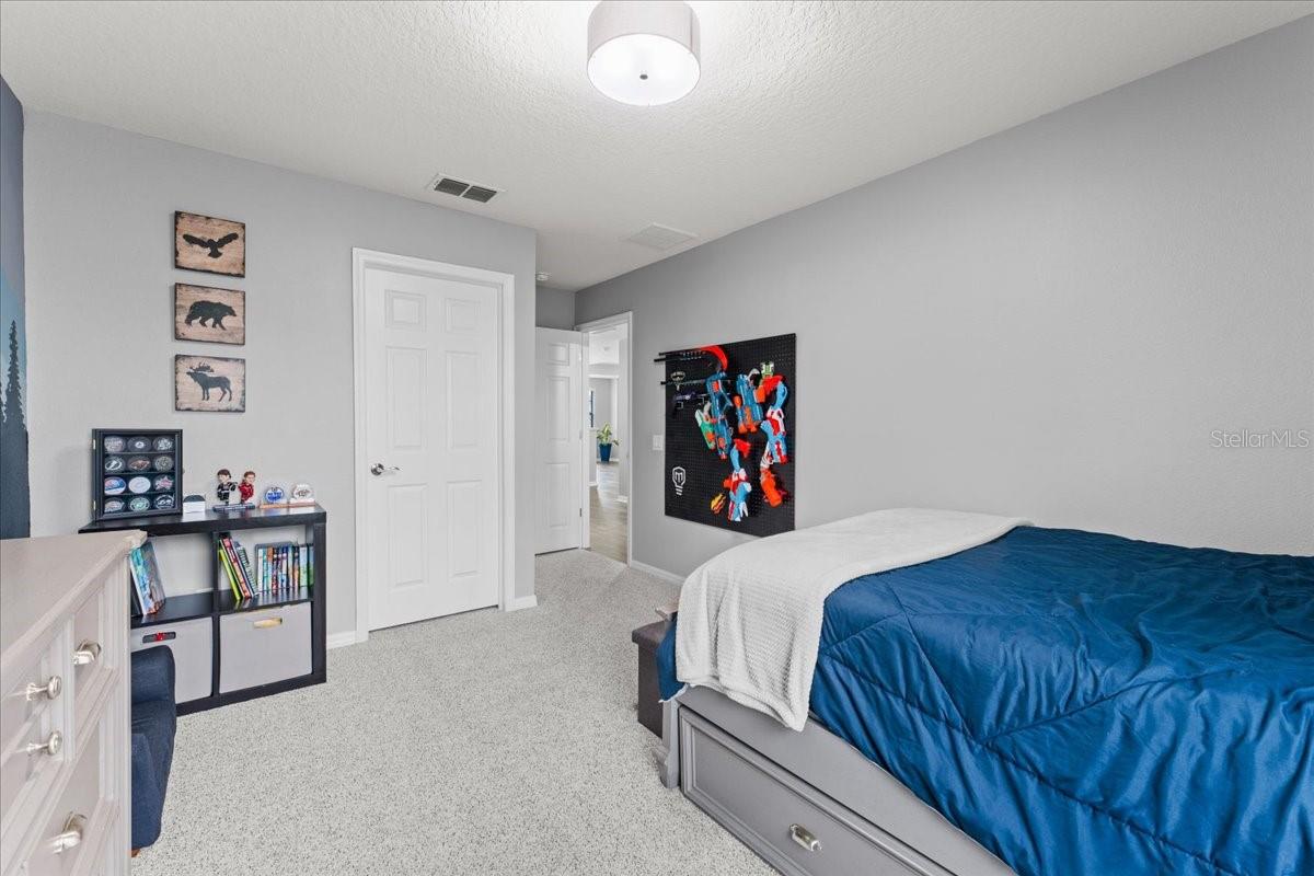 Image 52 of 63 For 1675 Feather Grass Loop