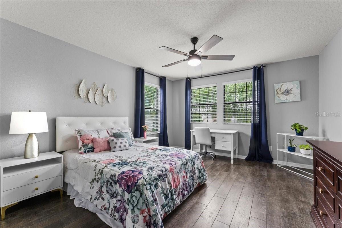 Image 53 of 63 For 1675 Feather Grass Loop